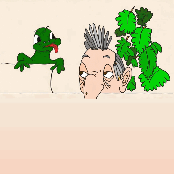 Caricature d’un homme aux cheveux gris, caché derrière un mur, regarde un lézard vert tirant la langue à côté de feuilles de vigne.ecrit gif animé